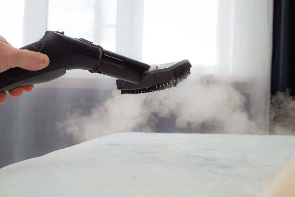 Professional steam cleaning removing dirt and bacteria from a fabric sofa