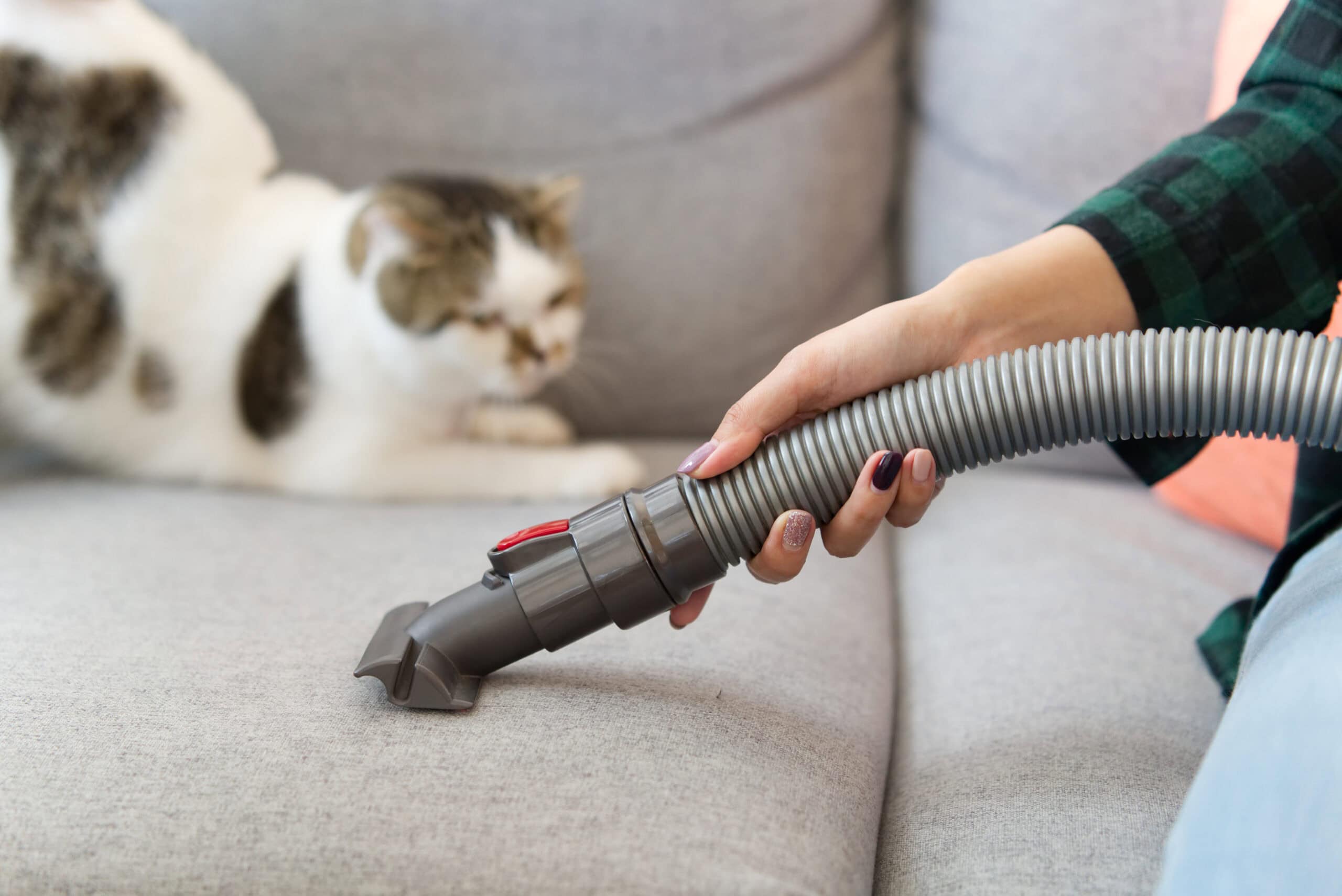 The Best Vacuum Cleaners—which one should you get for your home? 